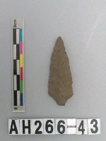 藏品(帶鋌打製石鏃)的圖片